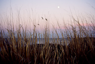 Connecticut: sunset with moon over marsh, December