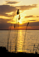 Virginia: Chincoteague Bay, sunset