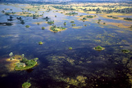 Aerial view of Okavango Delta, Moremi Game Reserve, Botswana