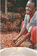 Ghana: Assin Asamankese Co-op, Oil Palm Millers’ Soc. (Central Region), Mary Nuamah, Mgr. and Treas., in front of palm nuts, March