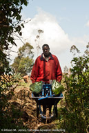 Farmer with MoneyMaker pump and cabbages in wheelbarrow