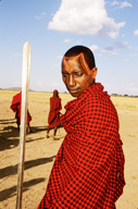 Maasai athlete, Amboseli NP