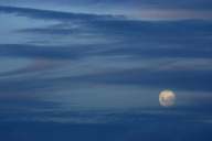 Full moon over Peninsula Valdes