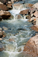 Snow-fed mountain stream, Mississippi River Basin, Wyoming