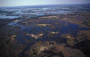 Okavango Delta, aerial view