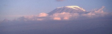 Mt. Kili in distance