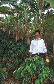 Nicaraguan coffee farmer