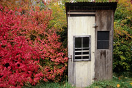 Massachusetts: Montague, outhouse, October