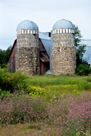 Wisconsin: Two silos amidst wildflowers