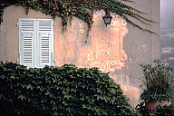 France: Côte d’Azur, Éze, shuttered window on old painted wall with ivy