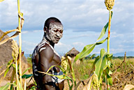 Kotrouru, a Kwego village, man with body and face paint standing amidst sorghum