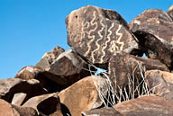 Petroglyph in Ajo, AZ