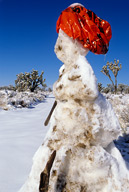 Snowman and Joshua trees, Mohave Nat’l Preserve, CA, January