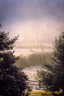 Applewood Farm in morning mist, Tewksbury Township, NJ, November